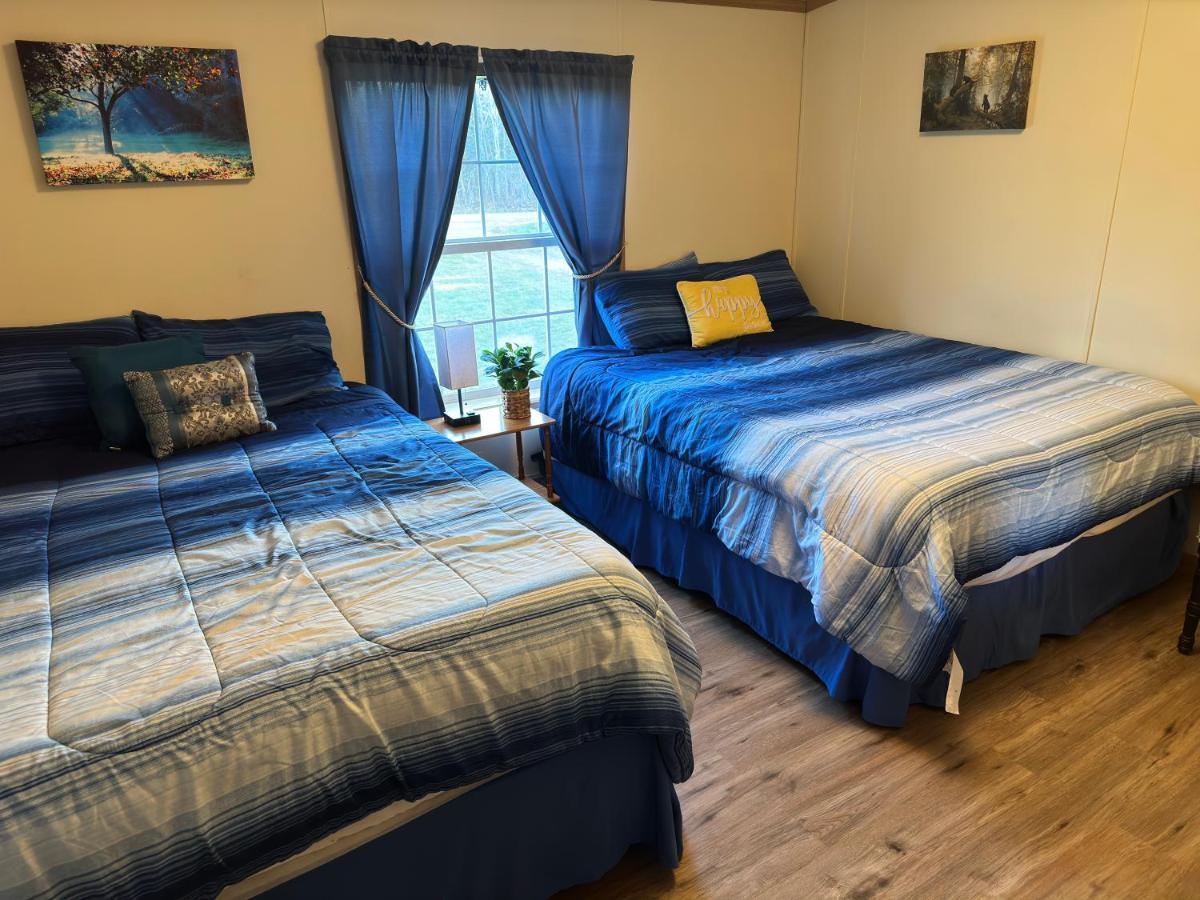 Spacious Cozy Getaway ! King Bed, Game Room, Out Door Patio Cairo 外观 照片